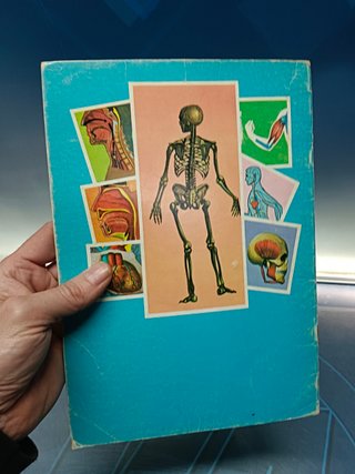 CONOCE EL CUERPO HUMANO, CARTILLA ESCOLAR, nº1 , EDI CULTURA Y PROGRESO, 1980
