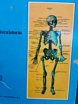 CONOCE EL CUERPO HUMANO, CARTILLA ESCOLAR, nº1 , EDI CULTURA Y PROGRESO, 1980