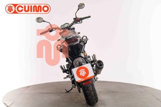 BENELLI LEONCINO 500