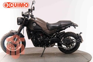 BENELLI LEONCINO 500