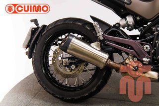BENELLI LEONCINO 500