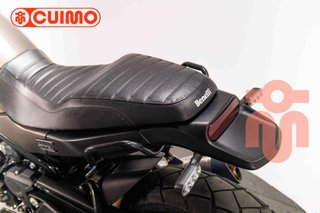 BENELLI LEONCINO 500