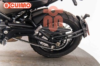 BENELLI LEONCINO 500