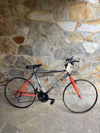 Bicicleta S.D. Bike