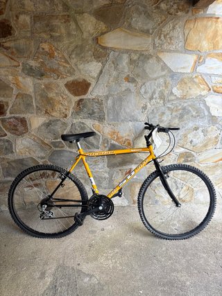 Bicicleta S.D. Bike Montaña