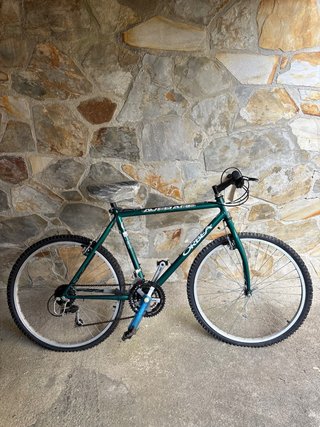 Bicicleta Orbea Verde