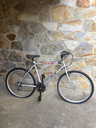 Bicicleta Riano Bikes Plata
