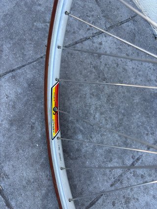 Bicicleta Razesa Record