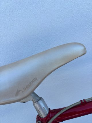 Bicicleta Razesa Record