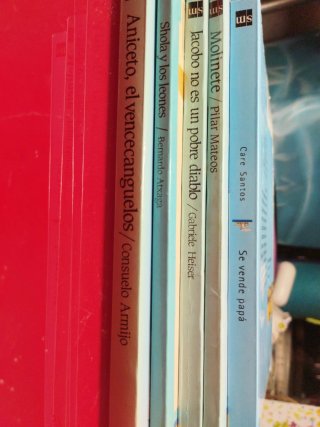 Lote libros el barco de vapor