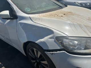 Nissan 2905349 paragolpes 620224eb0h pulsar (c13)