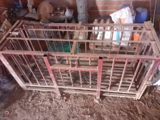 Jaula para matanza de cerdo
