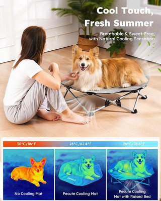 PECUTE cama Perros elevada L 81x75x20cm 60kg