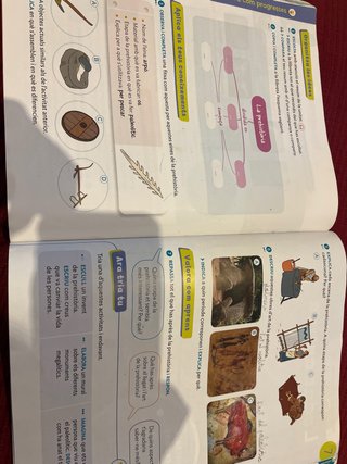 Coneixement del medi, 4 Primària, Projecte Cons...