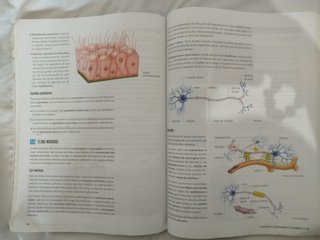 Proyecto: FanFest - Biología, Geología y Cienci...