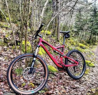 Bicicleta Specialized