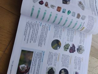 Libro Biología y geología 1 ESO