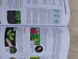 Libro Biología y geología 1 ESO