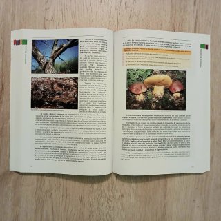 Agricultura ecológica. Manual y guía didáctica