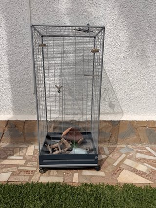 Jaula para pájaros o mascotas y con muchos accesor