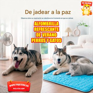 Alfombrilla Refrescante Verano Perros Gatos