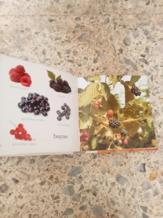 Libro granja infantil