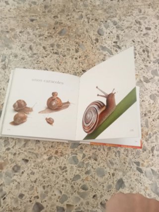 Libro granja infantil