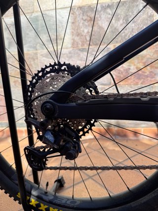 Orbea Rise M20 Carbono E-bike + Extender 252 W