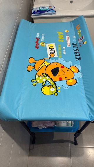 Cambiador Jané con bañera y funda (no lleva tubo)