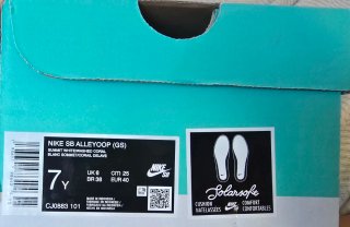 Zapatillas Nike SB Talla 40