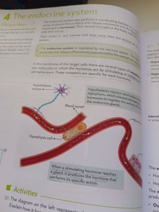 Biology and Geology Secondary 3