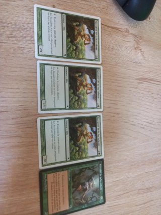Lote cartas magic Buscador/Seeker x4