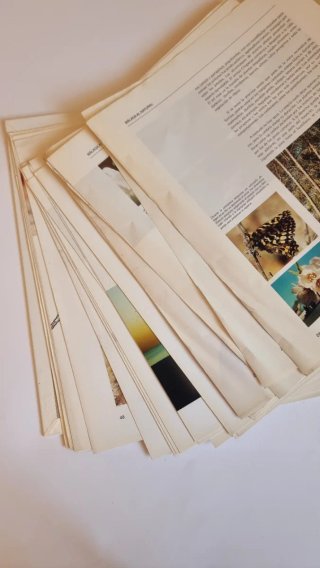 Libro "Málaga al natural" - Edición Coleccionista
