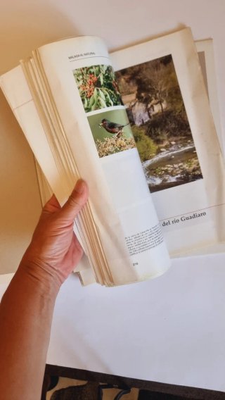 Libro "Málaga al natural" - Edición Coleccionista