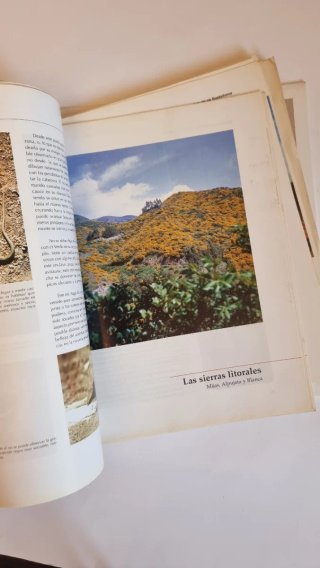 Libro "Málaga al natural" - Edición Coleccionista