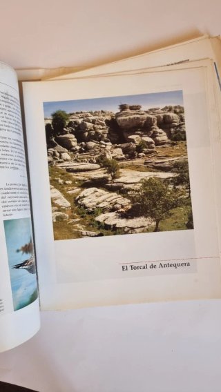 Libro "Málaga al natural" - Edición Coleccionista