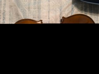 Violín Stentor Student 4/4 con funda