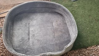 Cama para perro XXL