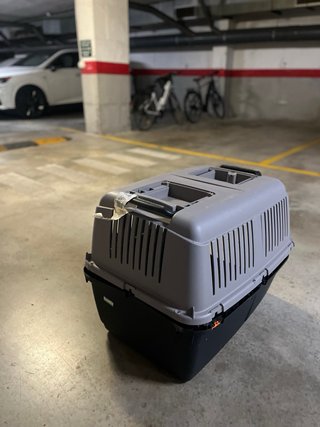 Cesta,feeder,bici y transportín de perro mediano