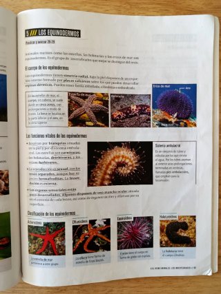 Biología Y Geología 1 Secundaria