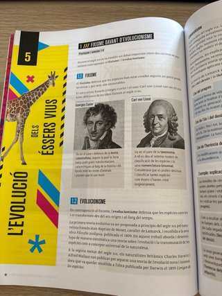 Biologia i Geologia 4, Secundària, Fanfest Baula