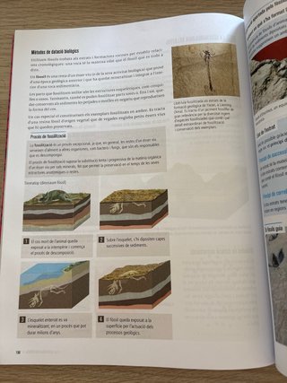 Biologia i Geologia 4, Secundària, Fanfest Baula