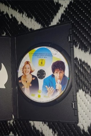 El CHICO IDEAL : DVD DESCATALOGADO