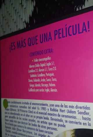 El CHICO IDEAL : DVD DESCATALOGADO
