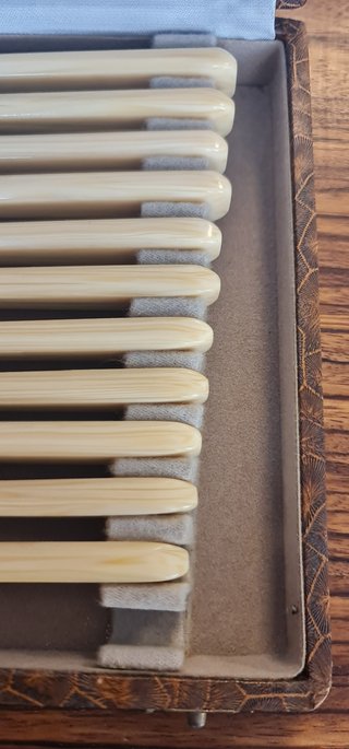 12 Tenedores Postre Acero Mango Celuloide Beige
