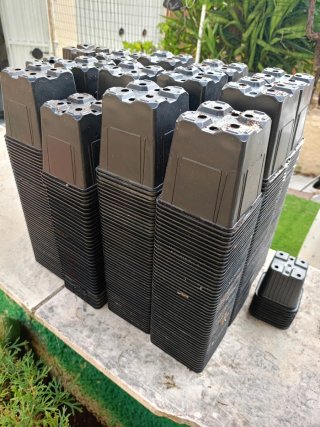 Fioriere in plastica nere. 700 unità