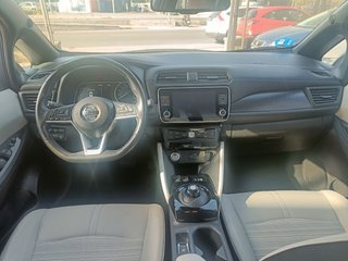 Nissan Leaf 2020