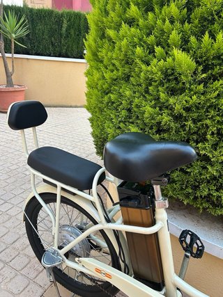 Bicicleta Eléctrica 48V