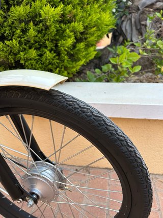 Bicicleta Eléctrica 48V