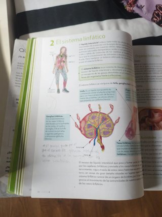 Biología y Geología, 3o ESO.